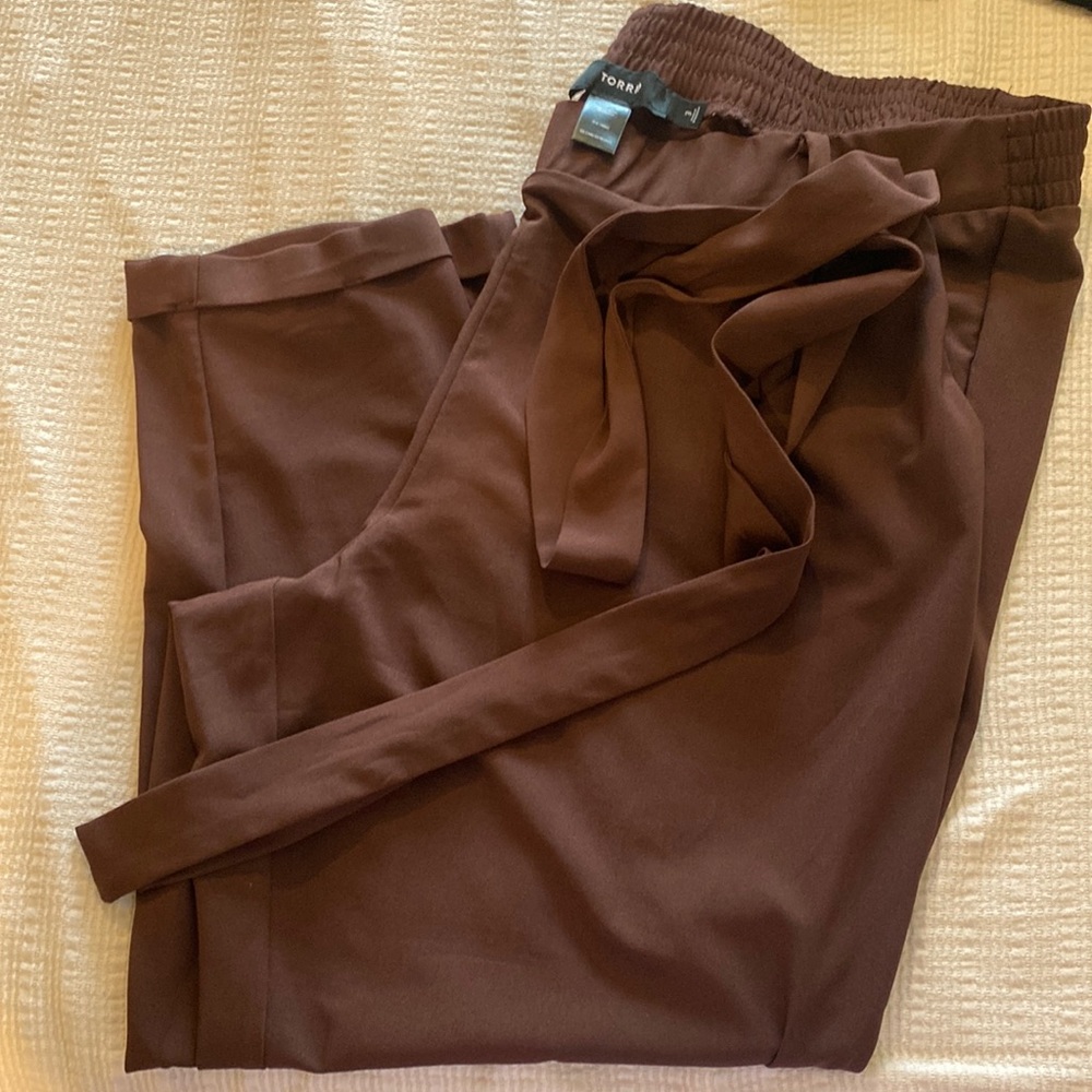 Size 24 Torrid pants